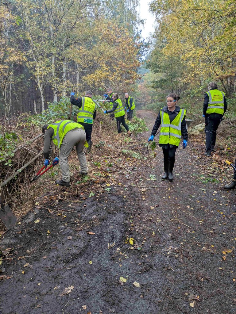 Image showing 6 corporate volunteers hard at work with EPIKS in Huddersfield Riverside Nature Park