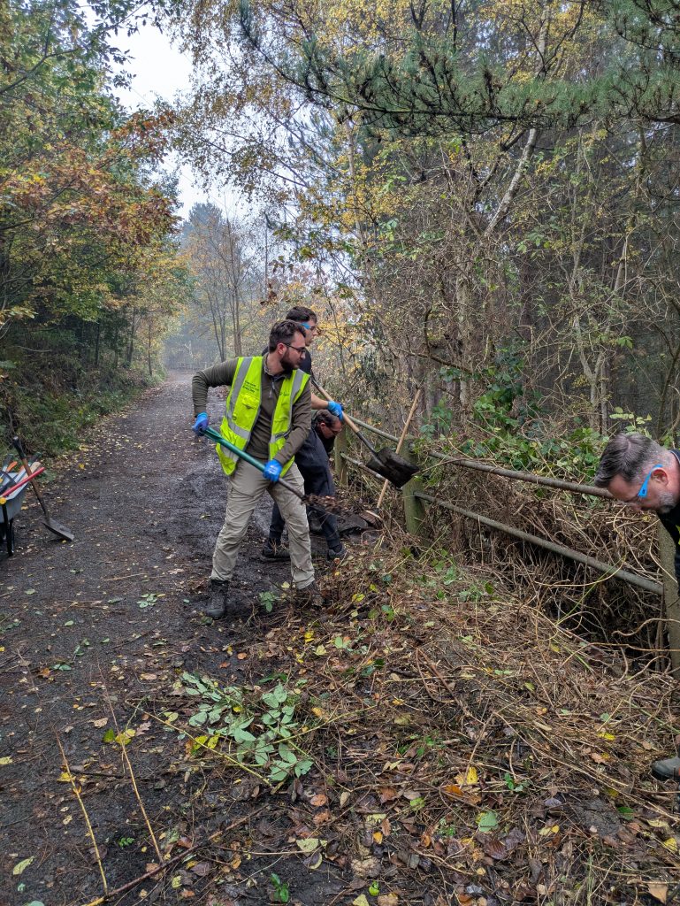 Men in hi viz vests shovelling leaves and soil off the road.