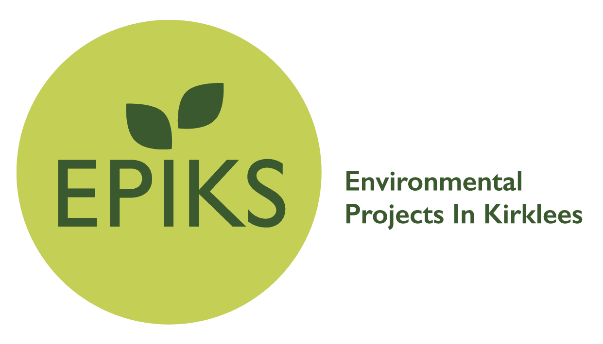 EPIKS logo col landscape (2)
